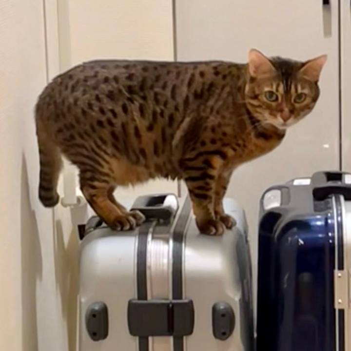 B3b1f778 6c38 4fb3 942b dd5c02d784c9 1666310088122