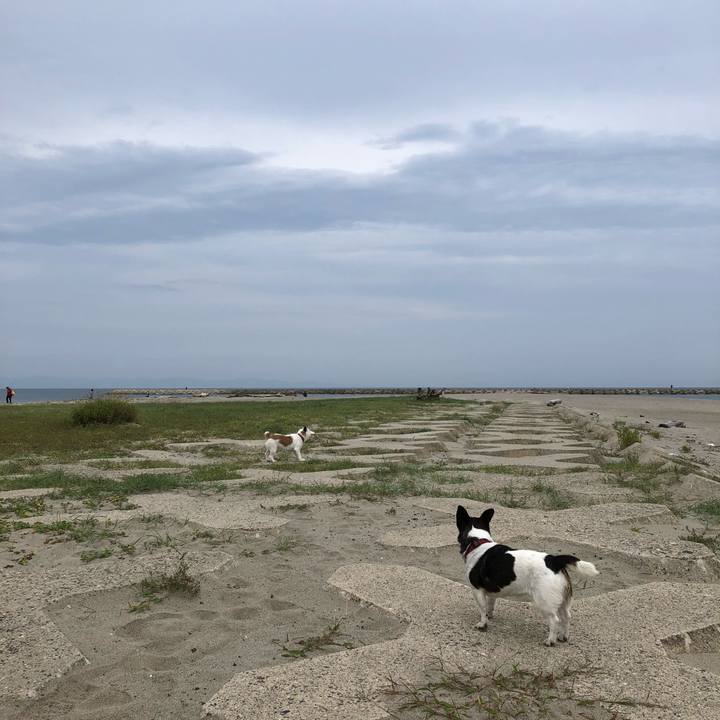 B3b2125e bcfc 4fc6 a135 0b91ac999a76 1537746072945