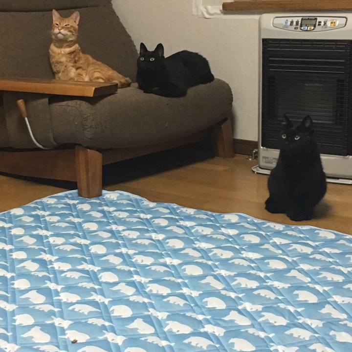 B3b24ed5 5449 492c a26d 18ab7029cf69 1533297535625