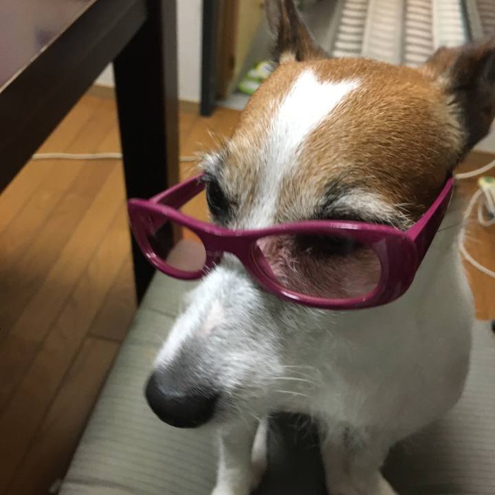 B3b25aa1 3ed3 4364 b813 7fcc9f97a905 1580253840712