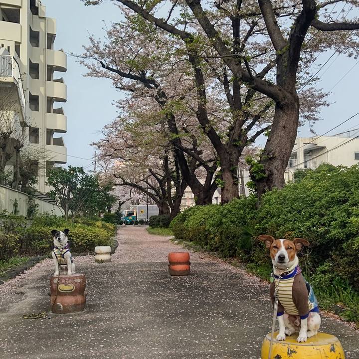 B3b25ed6 8a3c 40dc 94ab 4659e0461443 1680214662954