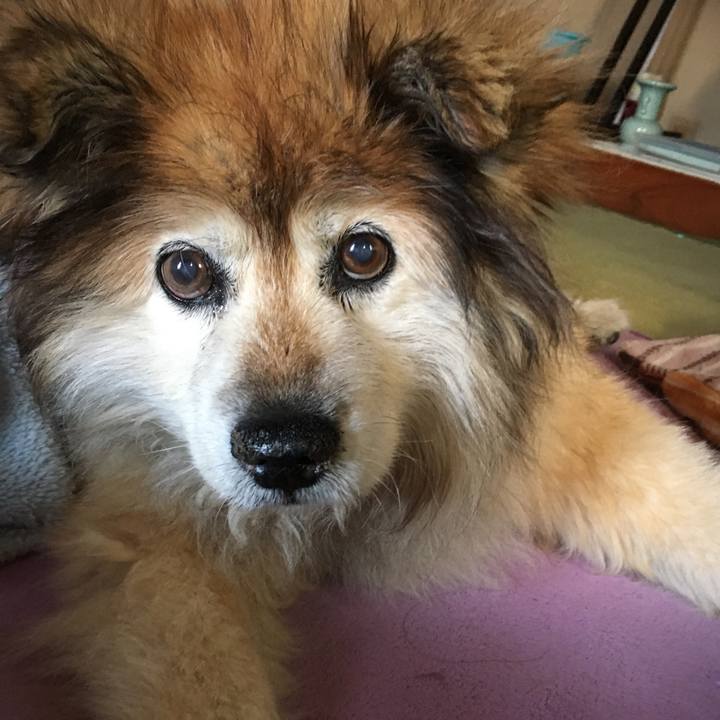 B3b282b2 4e94 453d 8ed2 d51f76b68e4e 1552777783673