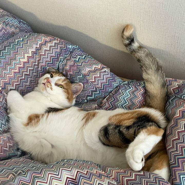 B3b28380 509a 44c2 97e4 e91b65945806 1609733638883