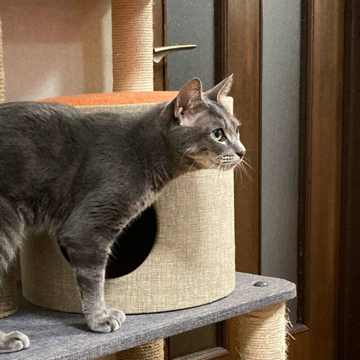 B3b2bc18 412b 48d0 8277 0d8a1d76b085 1726057370572