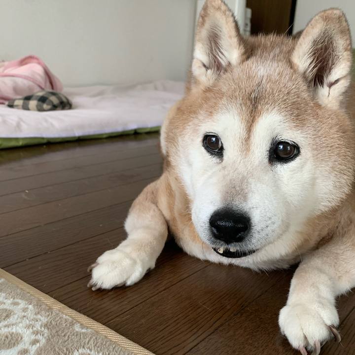 B3b2f181 1bb1 4d03 9423 21f8d7d202fa 1662614773972