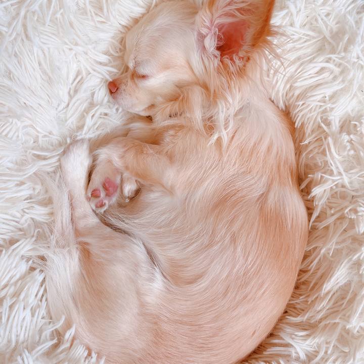 B3b3006b 682a 4441 b889 3367514a4a94 1654149706799