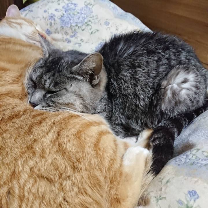 B3b31275 14f4 4cd4 8e1d 62b9422f6dcf 1579350226445