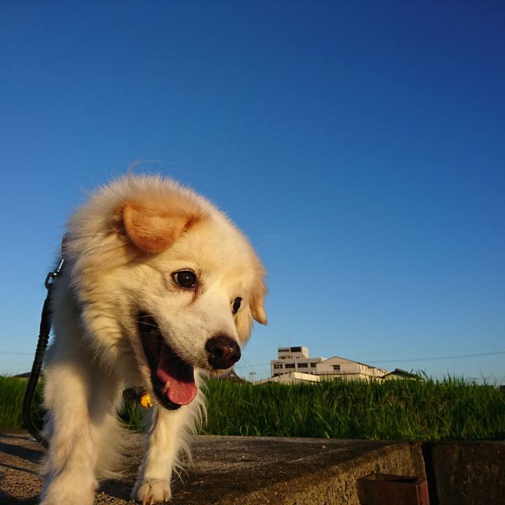 B3b35c90 6391 4d36 9577 6e6f92f1b046 1637185593627