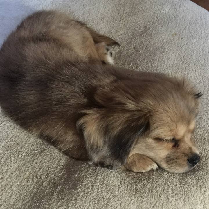 B3b3729b 09c8 4027 8c2a e985ada1035a 1536011947005