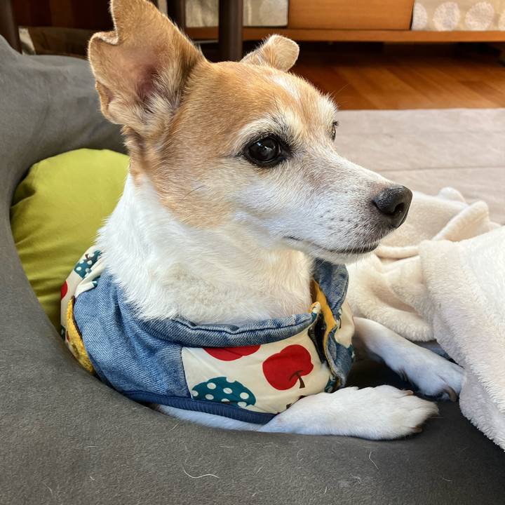 B3b39317 5f86 42fa 9b59 a1cd55321b27 1766710358038