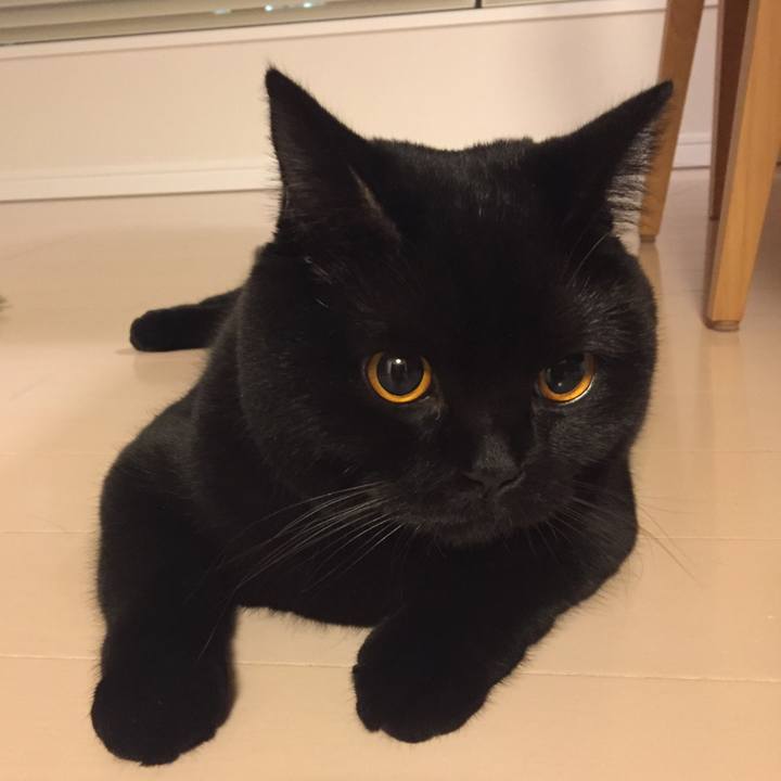 B3b3a67f cc26 4b9e 8950 8e05b145e534 1509107644818