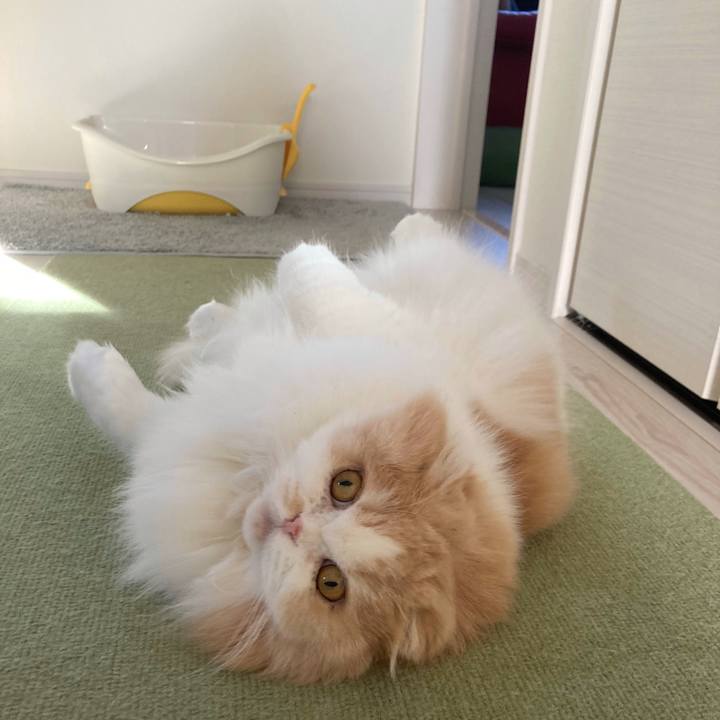 B3b3ac3b fbb1 42c8 b527 1d7a69a68ff1 1670681577885