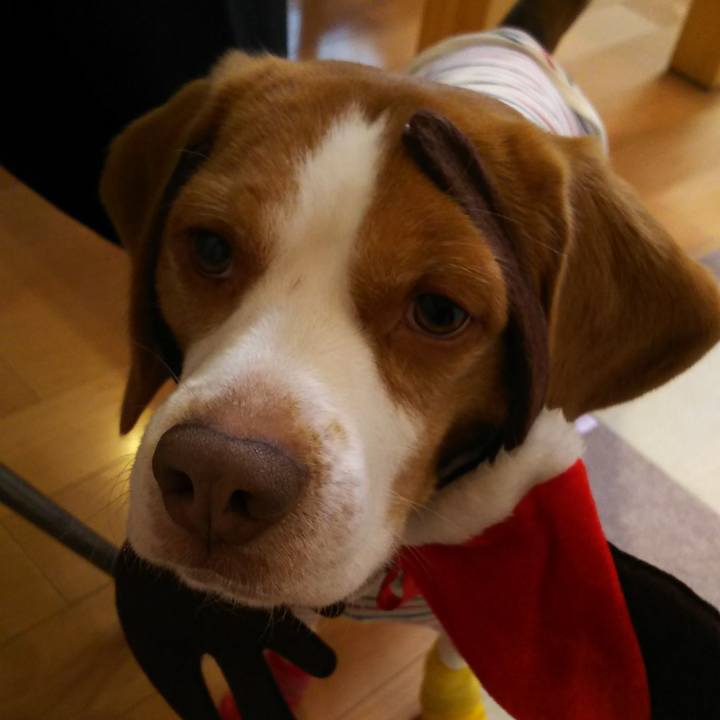 B3b3dd5a c6ec 46b3 8a58 f02749219b3e 1576915599872