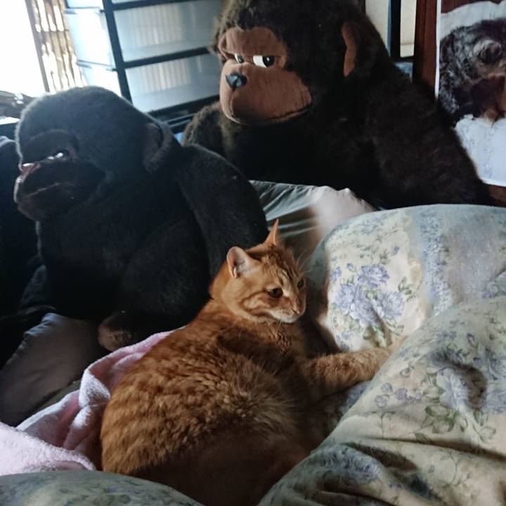 B3b3e1d8 30cf 4781 8656 2d74a957ee33 1656116905198