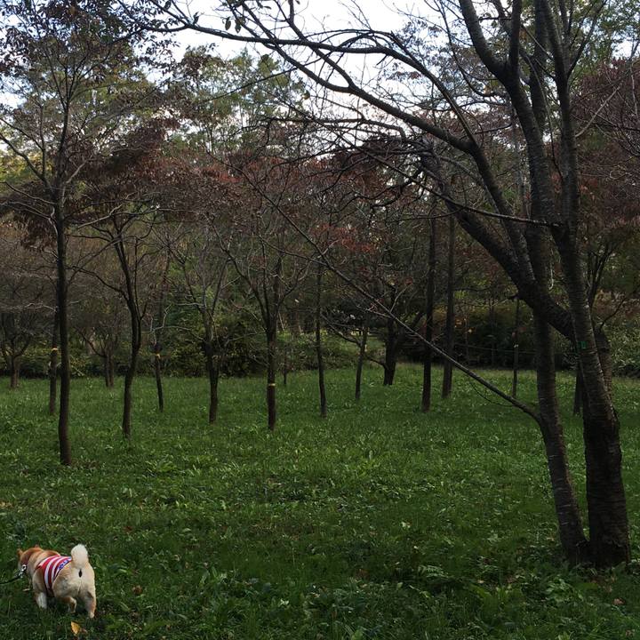 B3b456f4 e9b3 4b1e 8523 18194f9171d4 1573204961764