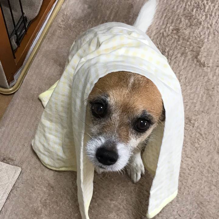 B3b4fca3 cb04 4c63 9260 a3ccb635f2ea 1562731471156