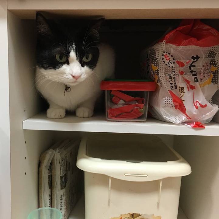 B3b5125f 7924 4ae0 a467 d73605b90671 1527592335922