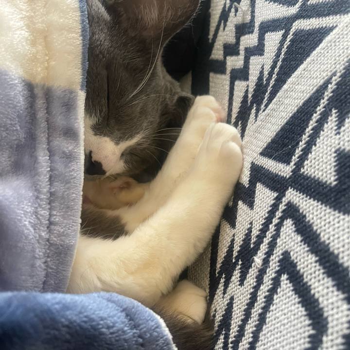 B3b52285 4989 4bbe bc3d 8796fd094e3c 1739950043542