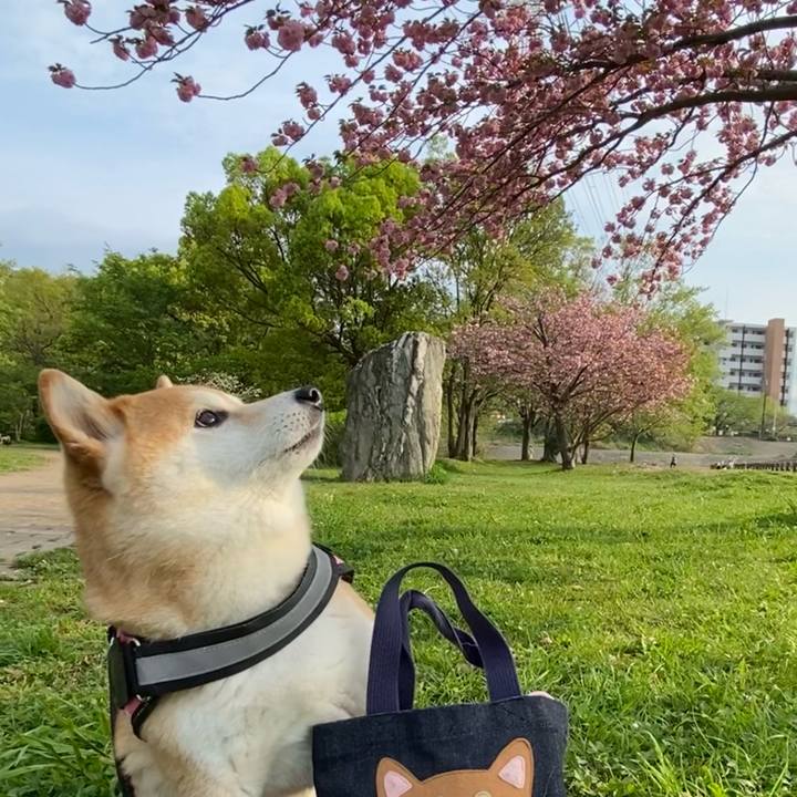 B3b56fa8 c0f4 44ce a765 b3247056bfda 1650542312767