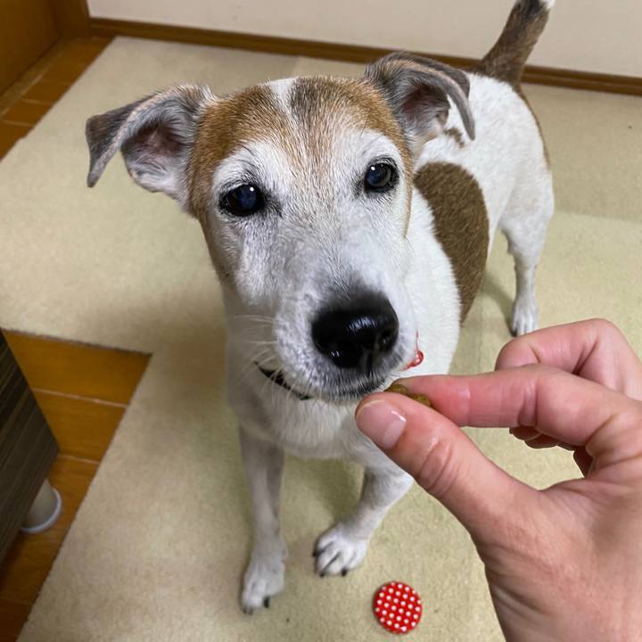 B3b57585 f19a 492e ba6a 689d334f6cc9 1599602803855