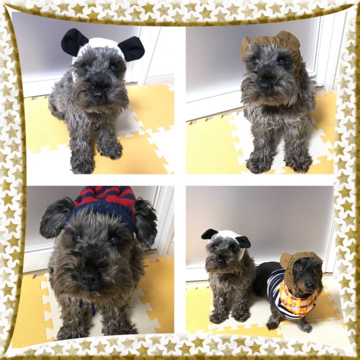 B3b57917 57ac 4c95 ab72 4e7ac12287fe 1511000721816