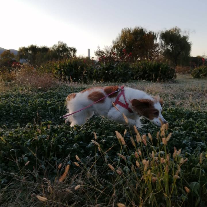 B3b58e58 850c 47b8 bfaa 672d1342000e 1607134303561