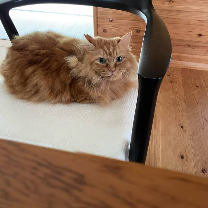 B3b598c0 1ab5 41ba a07f 16111a294eb5 1660683734798