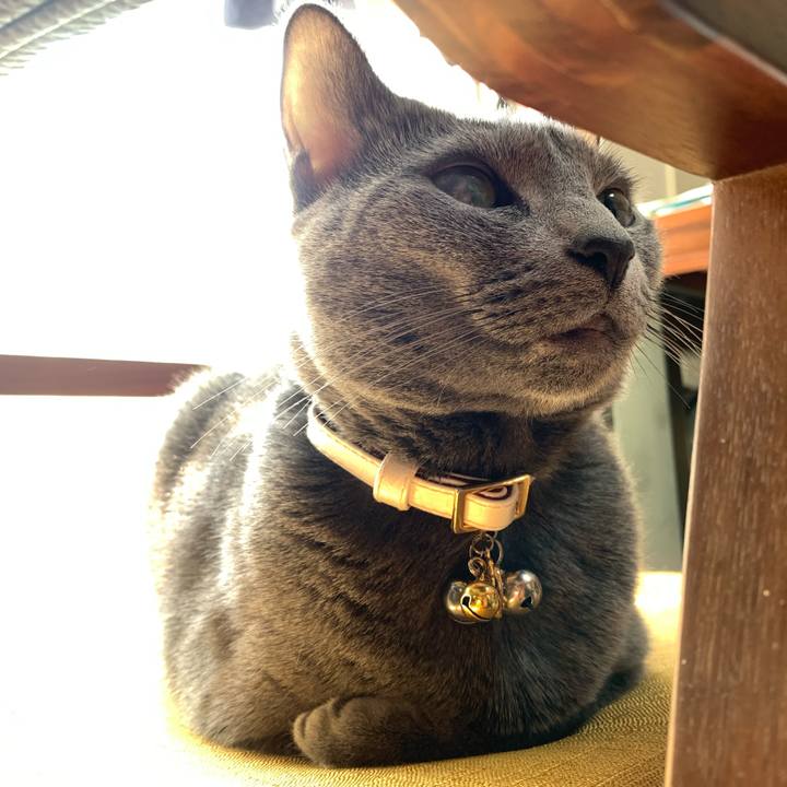 B3b59e50 96e9 4fd9 b5d5 de4575c648d7 1643768434157