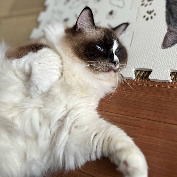 B3b5ed50 8a27 472c b34f 493094ebe4f7 1704715245388