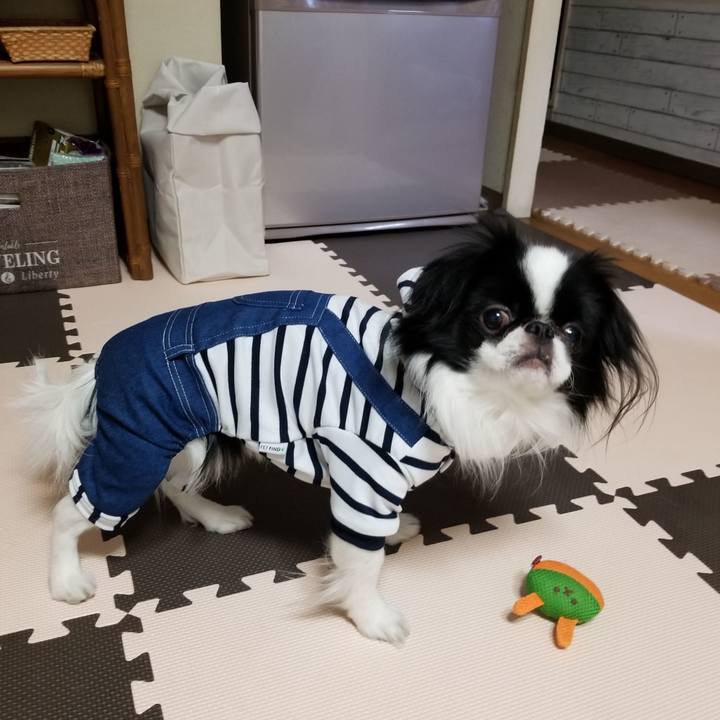 B3b60d5c 1a55 4183 a6c6 11636f7cb6b3 1674559232156