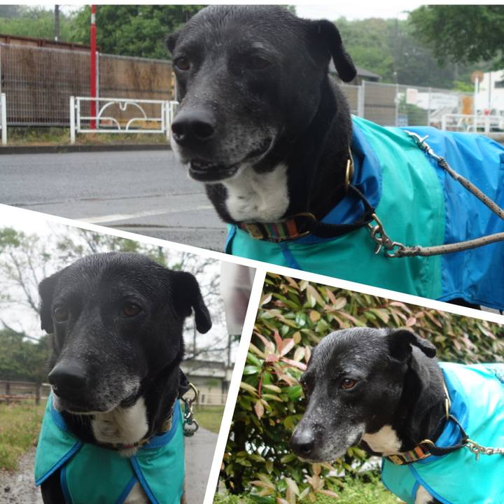 B3b6324d 868c 43e8 aa85 5d0e40be1b60 1682470062399