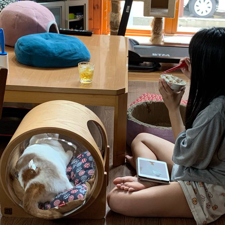 B3b6799e 9332 4f47 859e 0e4e7ce81059 1627964365004