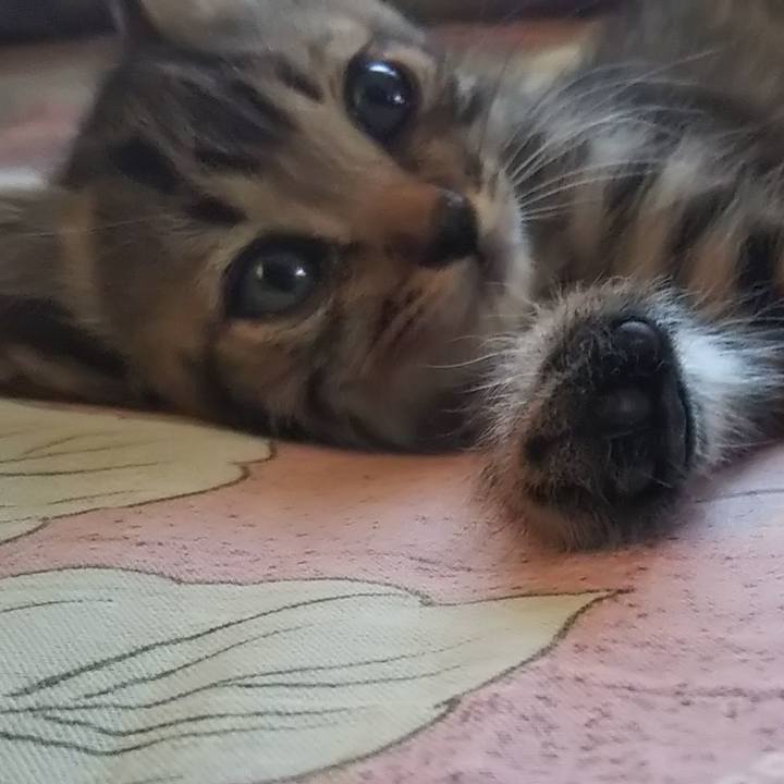 B3b68582 7cf0 4c55 bb95 668ed0f09701 1641870229004