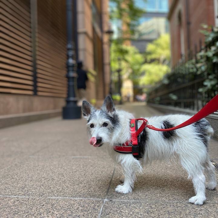 B3b6b777 1802 4afd 9252 7c776e2fb2d9 1621770726460