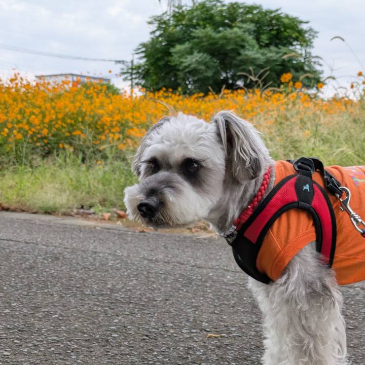 B3b6d451 6ff9 47bd b2ac 933bfb7bd892 1759442668243