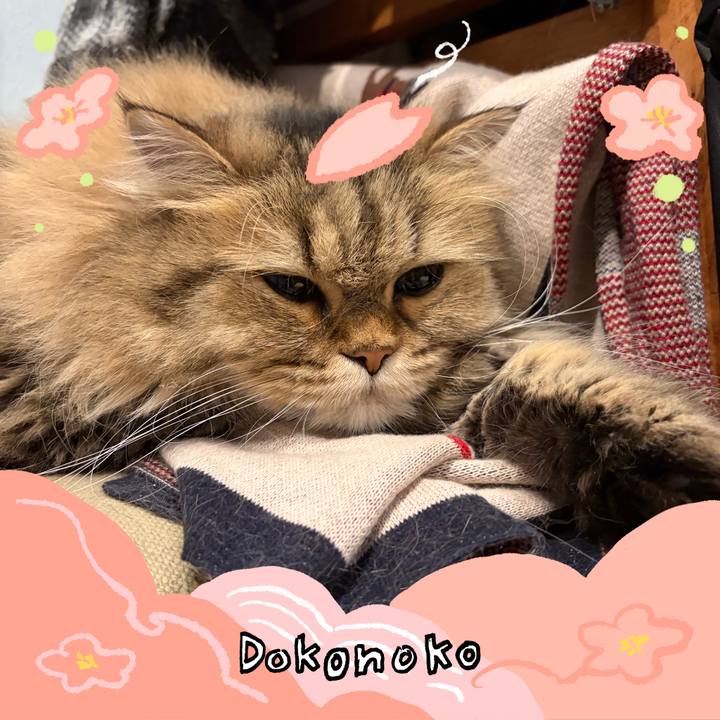 B3b6da5c e18e 42aa a62d e33cda957d56 1775605872538