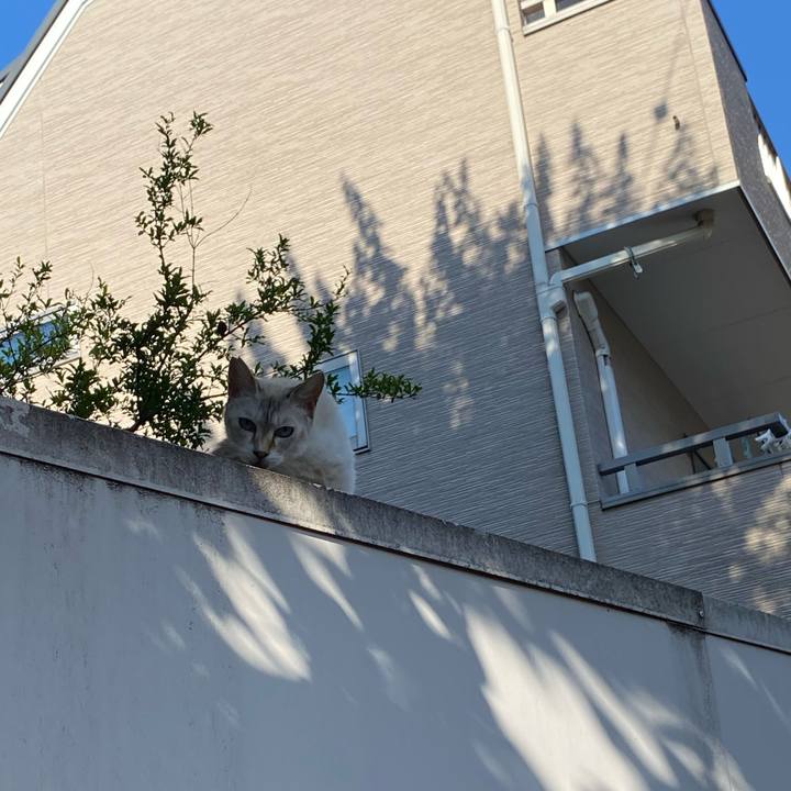 B3b6e7dd b81b 46b9 b95c 78d7332ffc9e 1662812311299