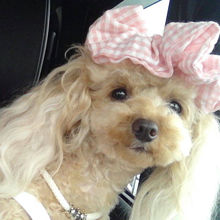 B3b6f998 0b39 4f47 9dc3 e76f6a0b5fe1 1535281703712