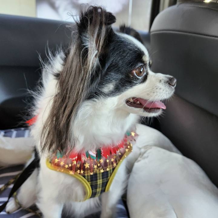 B3b7059a 1655 42c2 970b f868f9f5465e 1765608153544