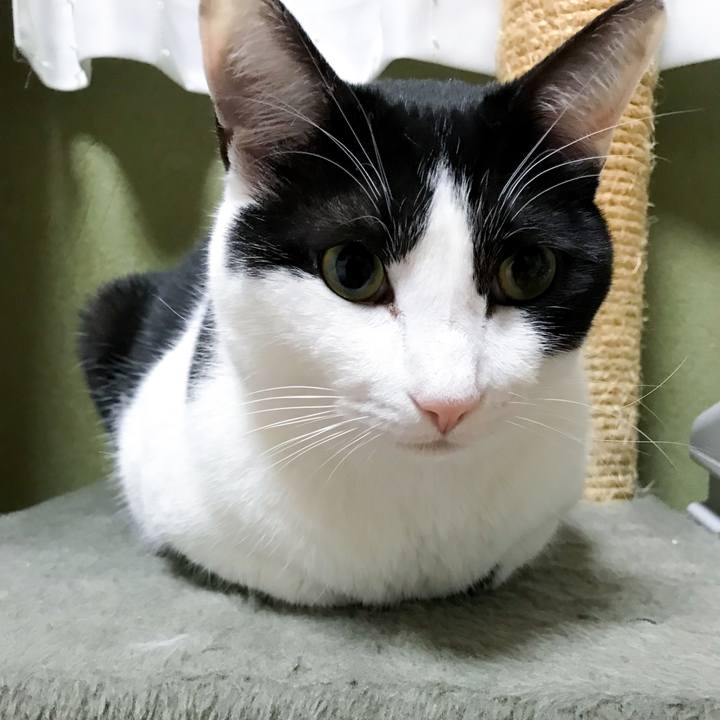 B3b7458a 5696 46d6 a494 f76f90f6cfc3 1519824668761