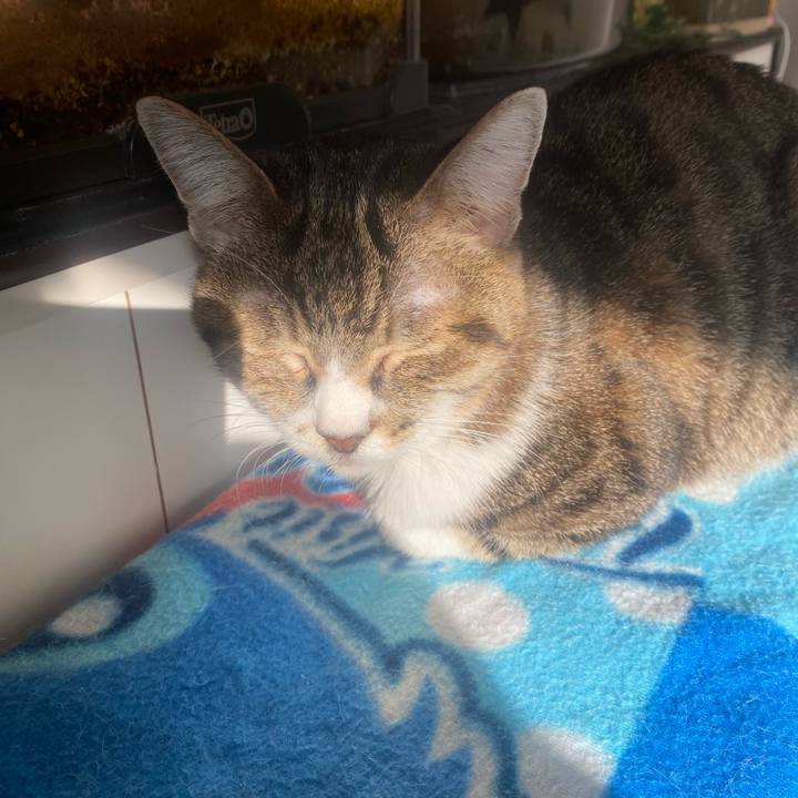 B3b7901d b83e 47e9 ac56 1a4091352f62 1731121195875