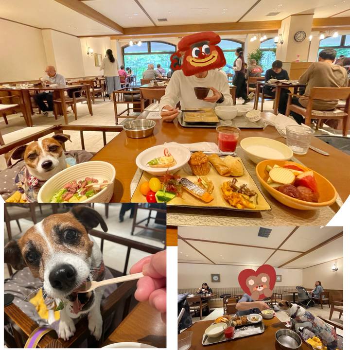 B3b79cc2 f10e 4fc6 84a9 65201265a6f0 1747823032997