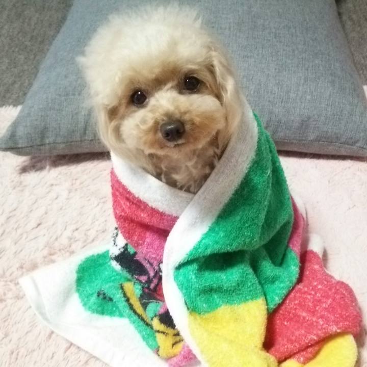 B3b7a264 2f1e 469e a52f b7ee87e32492 1561810561201