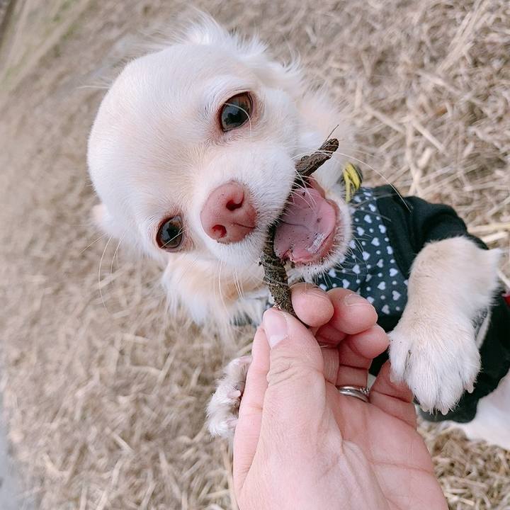 B3b7c8a7 3724 4aa5 b9a7 bfe97246c218 1609922480922