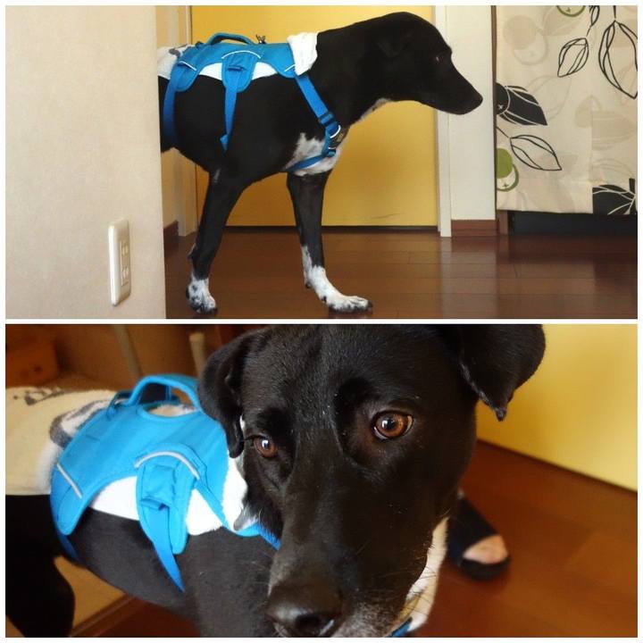 B3b807f7 b058 4303 91a7 eb521f3b6c83 1604279420533