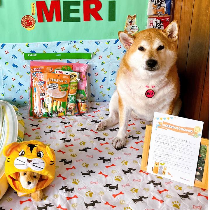 B3b821db 26c9 4e0c b501 babce217d749 1659668551568