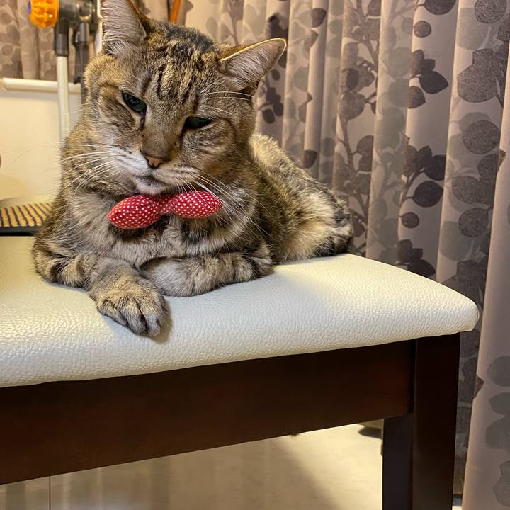 B3b85437 0d96 45e1 ad96 63188f201f9f 1593240294479