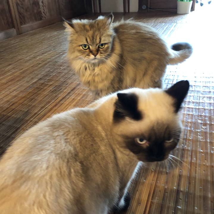 B3b85ee1 f948 4756 9d33 8e5e029e9059 1596415723572