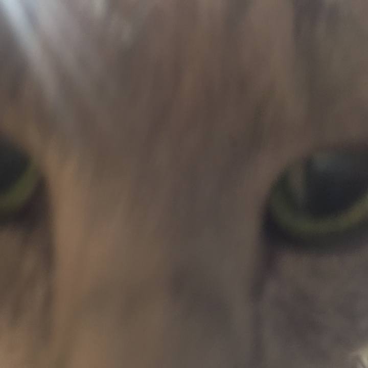 B3b86c45 1150 4014 93a2 9978a34d9dab 1553638018003