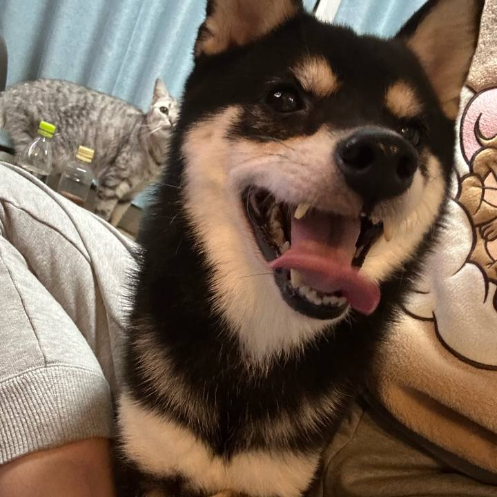 B3b87072 49c4 4bae 81fd d4b2d004acfb 1731577292585